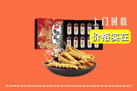 杭州市拱墅回收冬虫夏草