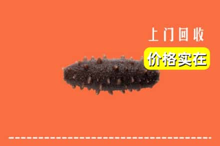 杭州市拱墅回收海参